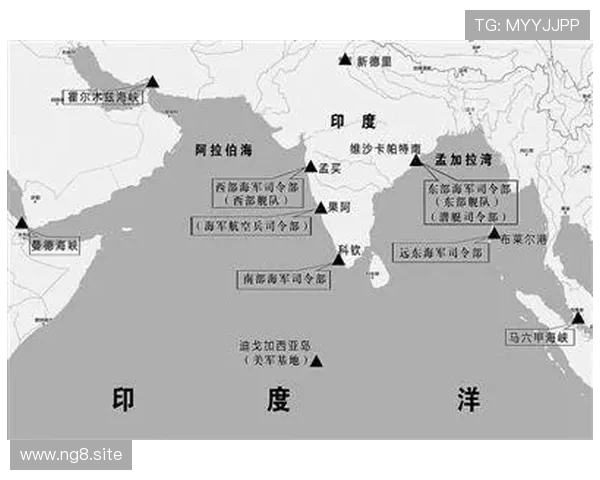 探索8号国际的全球影响力与未来发展趋势